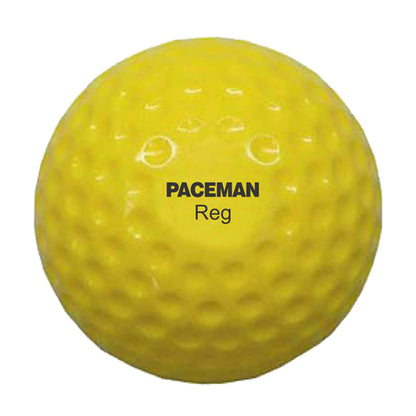 Paceman Reg Bowling Machine Ball (Dozen Pack)