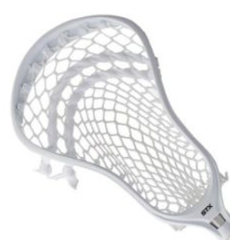 STX Stallion Head