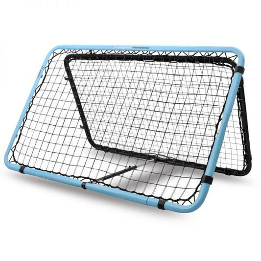 Crazy Catch Professional 2.0