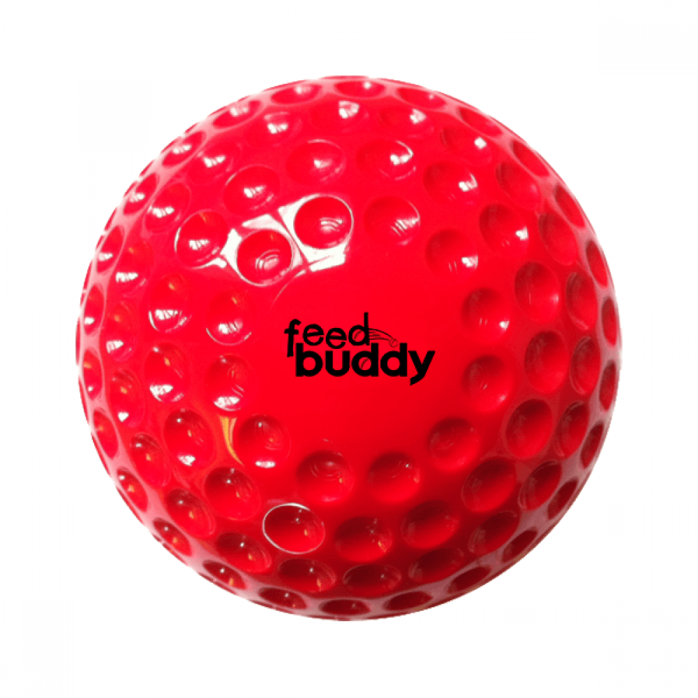Feed Buddy Ball Individual