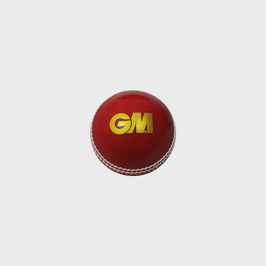 GM Skill Cricket Ball - Training Ball